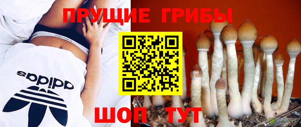 Галлюциногенные грибы GOLDEN TEACHER Кострома